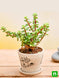 Product image thumbnail 2