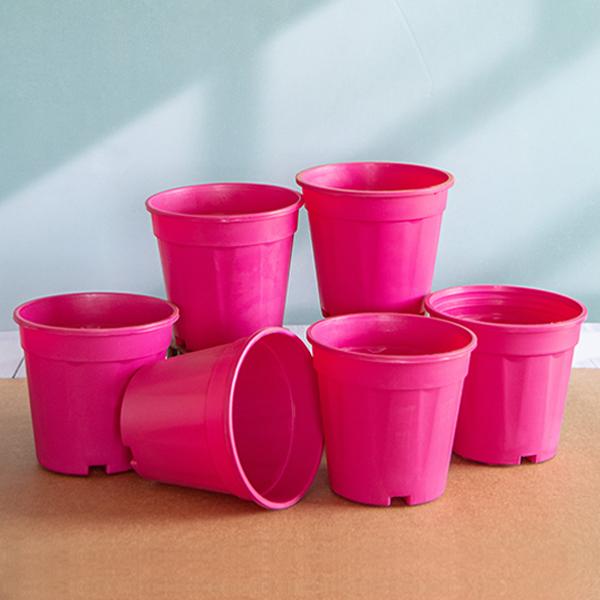 6 cm plastic plant pots Buy 6 inch (15 cm) Grower Round Plastic Pot (Dark Pink) (set of 6) online from Nurserylive at lowest price
