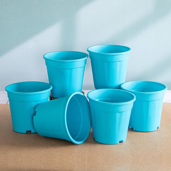 6 inch (15 cm) grower round plastic pot (sky blue) (set of 6) 