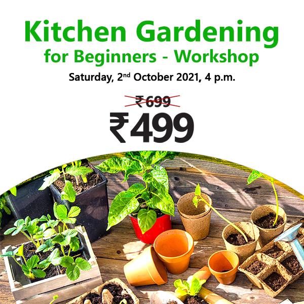 kitchen gardening for beginners - workshop