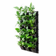 purify air around you with indoor vertical garden 