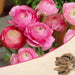 ranunculus (pink) - bulbs (set of 5)