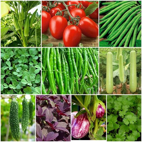seeds to plant in the summer Buy Set of 10 Best Vegetable Seeds to Sow in Summer Season online from Nurserylive at lowest price