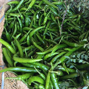 set of 15 vegetable seeds to sow in december 