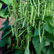 Product image thumbnail 1