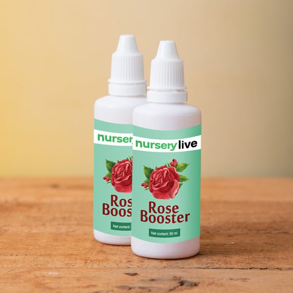 Buy Rose Booster - 50 ml (Set of 2) online from Nurserylive at