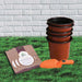 basic seed kit for gardening - kitchen garden pack