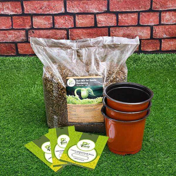 best 3 microgreen seeds - kitchen garden pack