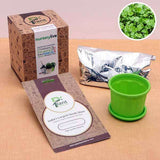 Easy to Grow Coriander Seeds - Garden Pack