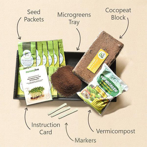 gardening made easy with microgreens tray and diy potting mix 
