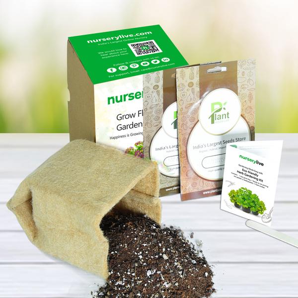 gardening made easy with eco - friendly herb gardening kit