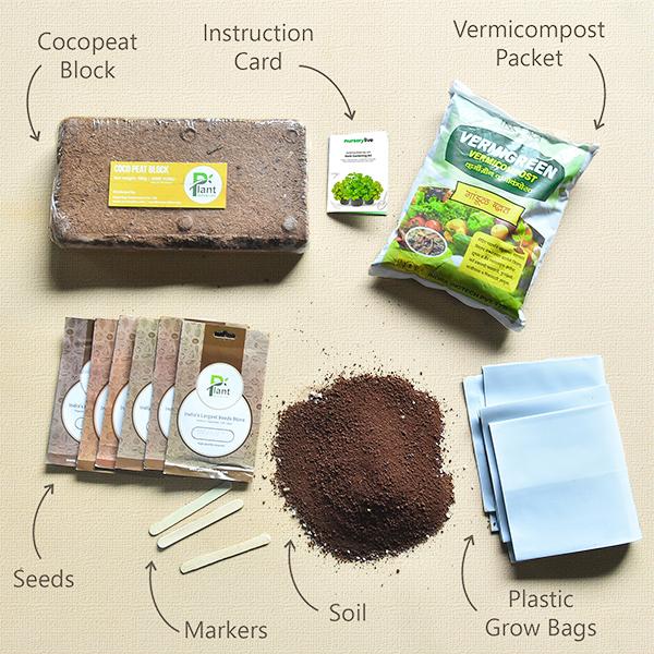 gardening made easy with herb gardening kit 