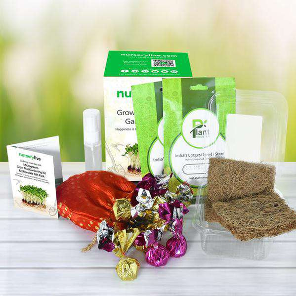 Buy Bulk Gifts online from Nurserylive at lowest price.