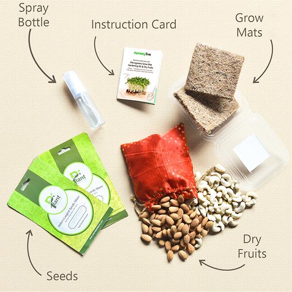 gardening made easy with microgreens grow mat gardening kit and dry fruits gift pack 