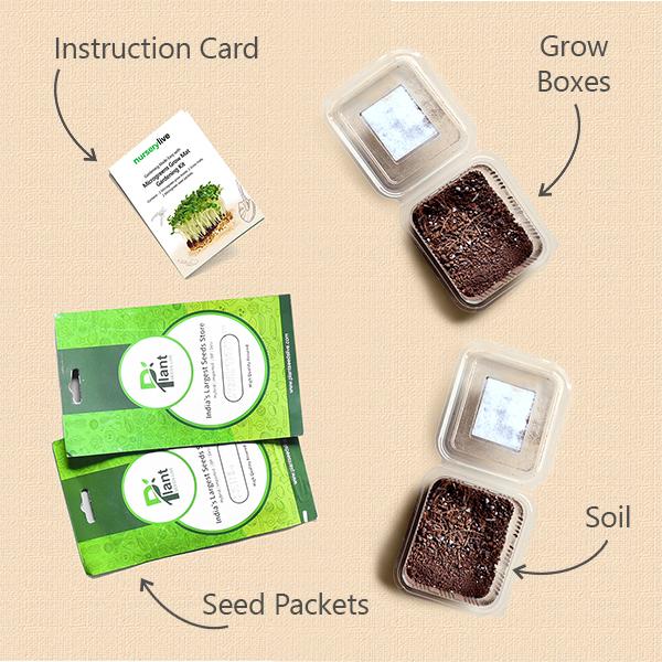 gardening made easy with nutritious microgreens gardening kit 
