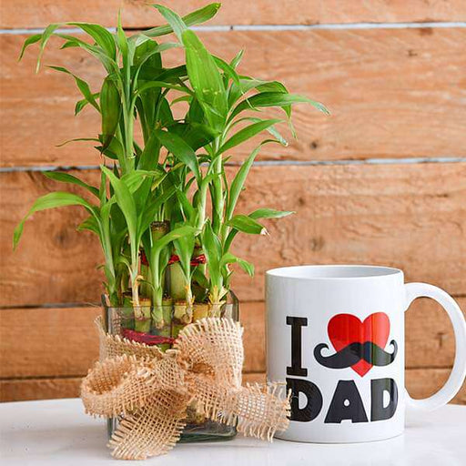 2 layer lucky bamboo with i love dad mug 
