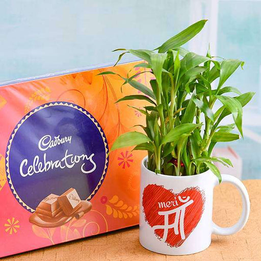 celebrate every moment with 2 layer lucky bamboo plant in mug and chocolate 