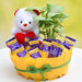 chocolate basket with syngonium and cute teddy 