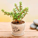 Product image thumbnail 1