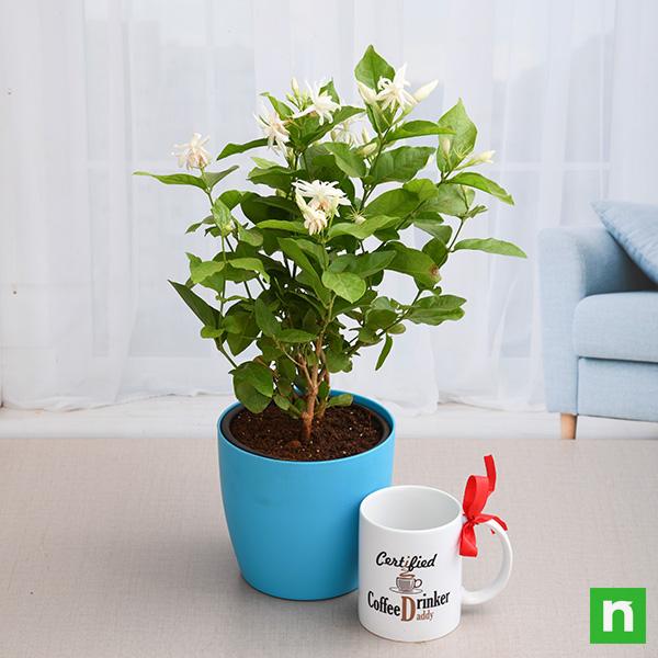 mogra plant with mug for coffee lover dad 