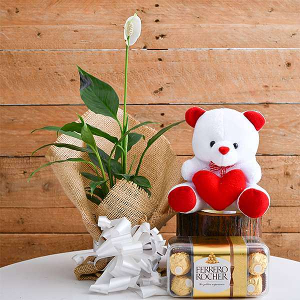 pleasing peace lily with chocolate and cute teddy for someone special 
