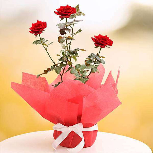 Artificial Red Rose Flower - Roseflower.in