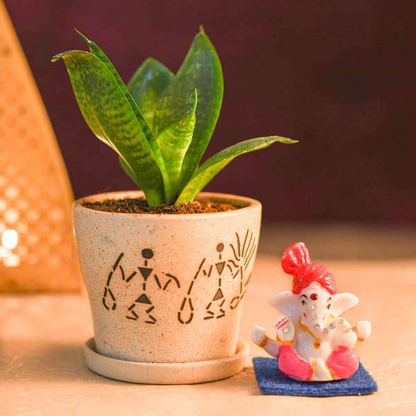 sansevieria plant in decorative ceramic pot with lord ganesha idol 