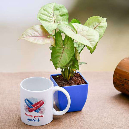 special syngonium plant with mug for special friend 
