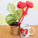 Product image thumbnail 1