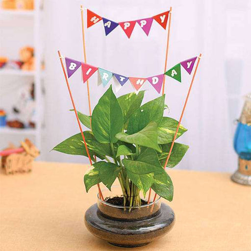 Beautiful Paper Circle Heliconia Craft for Kids