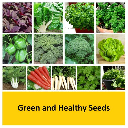 green and healthy seeds 