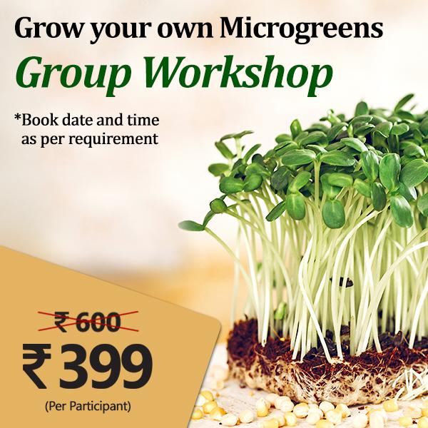 grow your own microgreens - group workshop (set of 15)