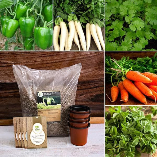 grower kitchen garden kit (5 seeds + 5 pots + soil) 