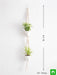handmade sa001 macrame hanger for plants (cotton 