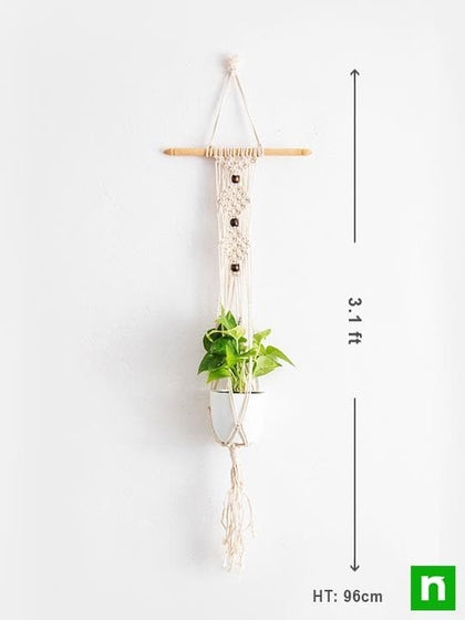 macrame plant hanger on stick Buy Handmade SA004 Macrame Hanger for Plants (Cotton, White with small stick)  online from Nurserylive at lowest price