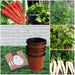 healthy vegetable grown at home (seeds with pots) - kitchen garden pack