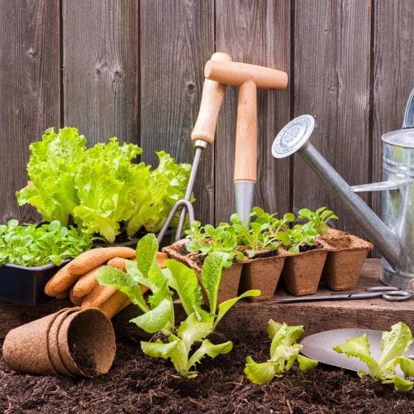 Buy Kitchen Gardening Step-by-Step Workshop (7 Classes) online from ...