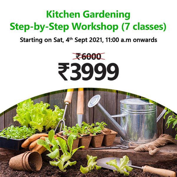 Buy Kitchen Gardening Step By Step Workshop 7 Classes Online From   Nurserylive Kitchen Gardening Step By Step Workshop 7 Classes 