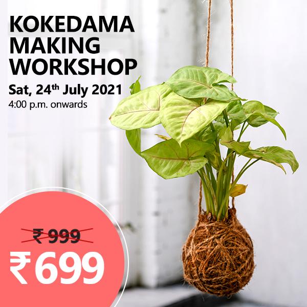 kokedama making workshop 
