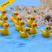 mini ducks plastic miniature garden toys (yellow) - 5 pieces