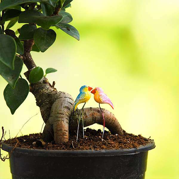 pin birds plastic miniature garden toys (random color) - 1 pair