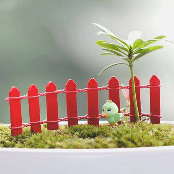 Buy Miniature Garden Toys online from Nurserylive at lowest price.