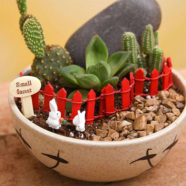 diy desert - miniature garden