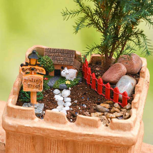 Buy DIY House warming with farm house garden - Miniature Garden