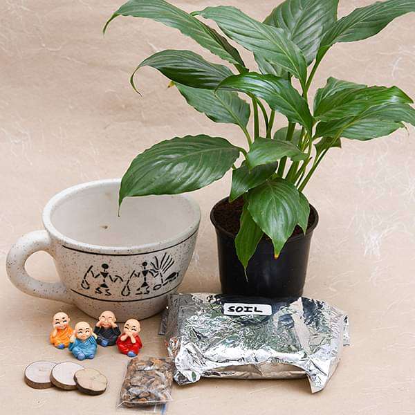 diy prosperity wishes from monks and plant - miniature garden