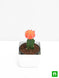 Product image thumbnail 4