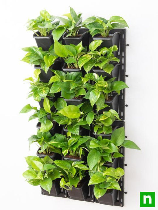 oxygen enriching indoor vertical garden 