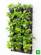 Product image thumbnail 2