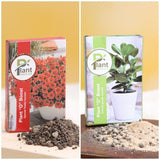 Pack of Plant Growth and Flower Boosters