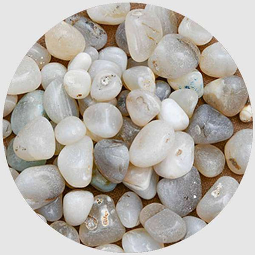onex pebbles (white - 1 kg